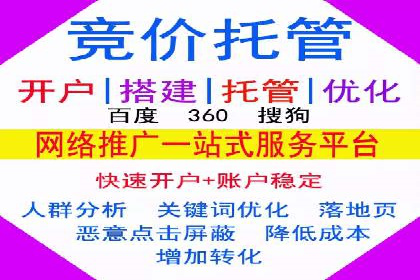 SEM托管服务成功案例：让广告投放更精准、更高效